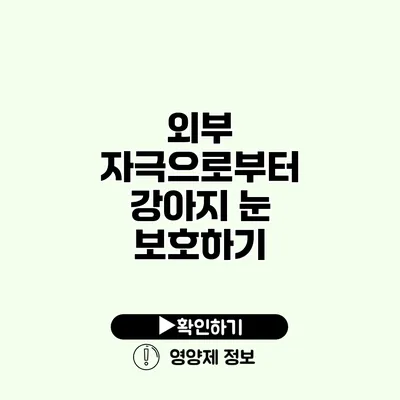 외부 자극으로부터 강아지 눈 보호하기 외부 자극으로부터 강아지 눈 보호하기