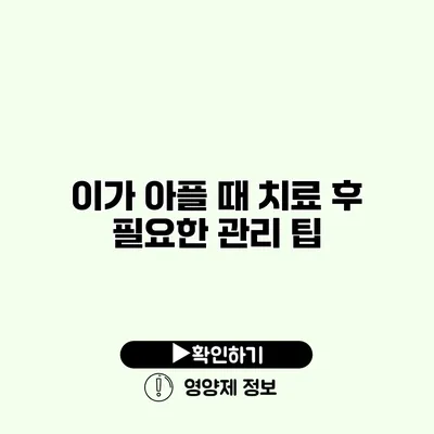 이가 아플 때 치료 후 필요한 관리 팁