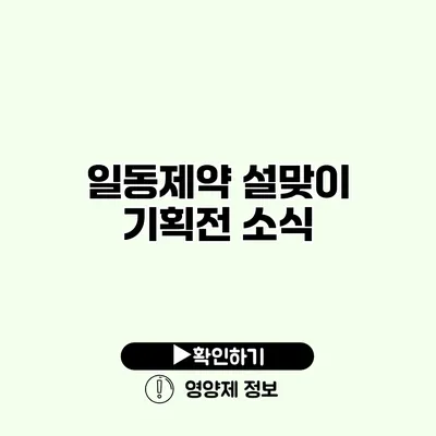 일동제약 설맞이 기획전 소식