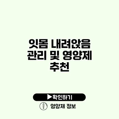 잇몸 내려앉음 관리 및 영양제 추천