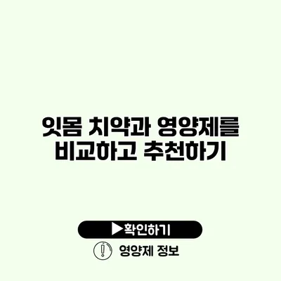 잇몸 치약과 영양제를 비교하고 추천하기
