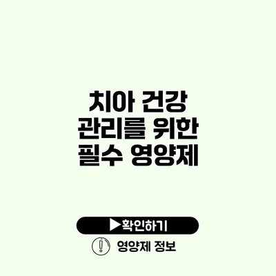 치아 건강 관리를 위한 필수 영양제