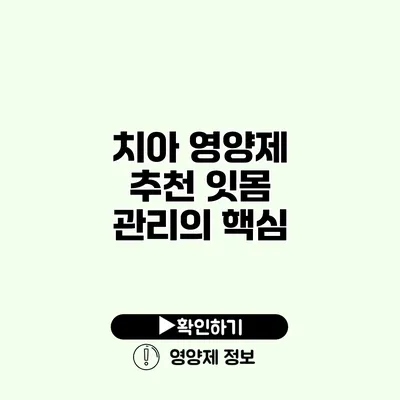 치아 영양제 추천 잇몸 관리의 핵심