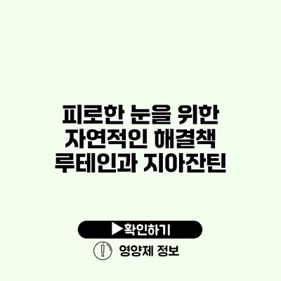 피로한 눈을 위한 자연적인 해결책 루테인과 지아잔틴