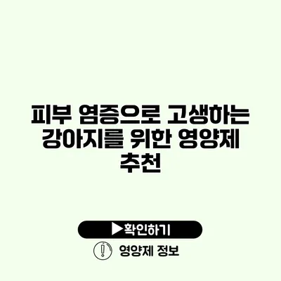 피부 염증으로 고생하는 강아지를 위한 영양제 추천